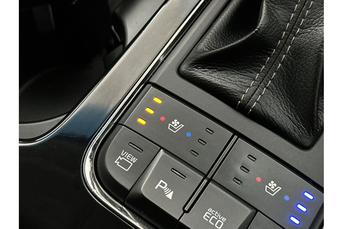 2017 Kia Carnival Platinum YP