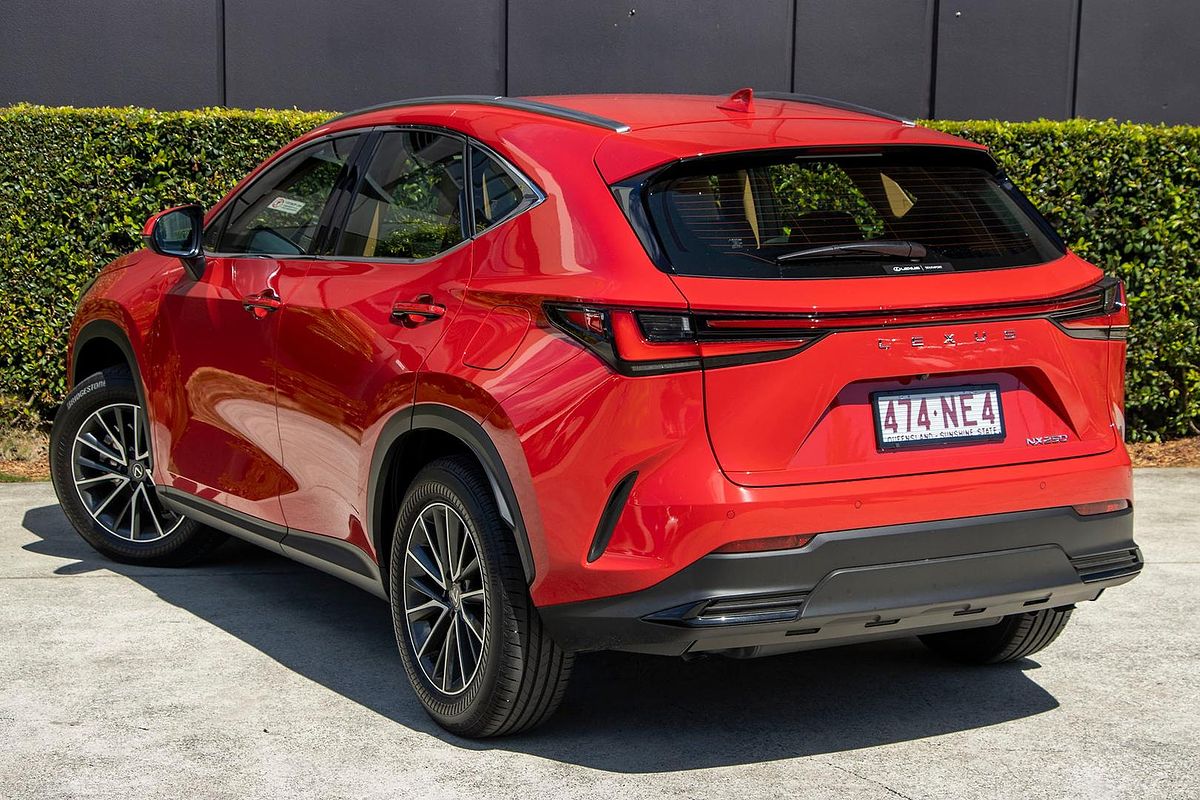 2025 Lexus NX NX250 AAZA20R