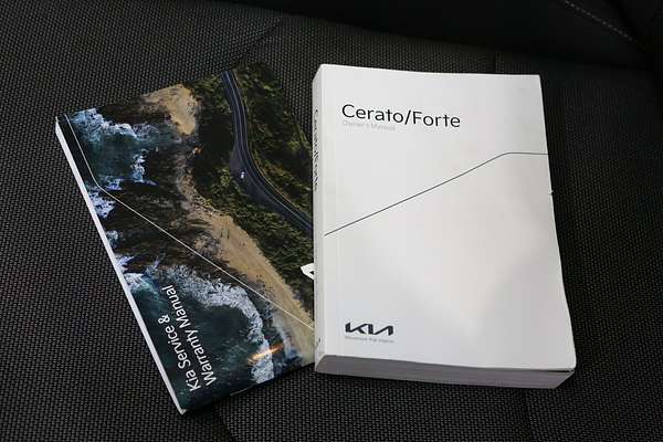 2019 Kia Cerato S BD