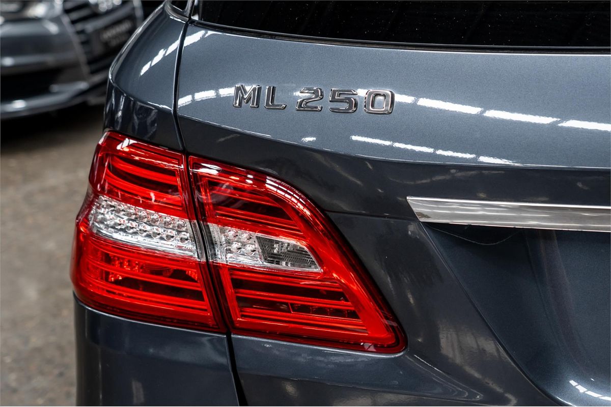 2015 Mercedes-Benz M-Class ML250 BlueTEC W166