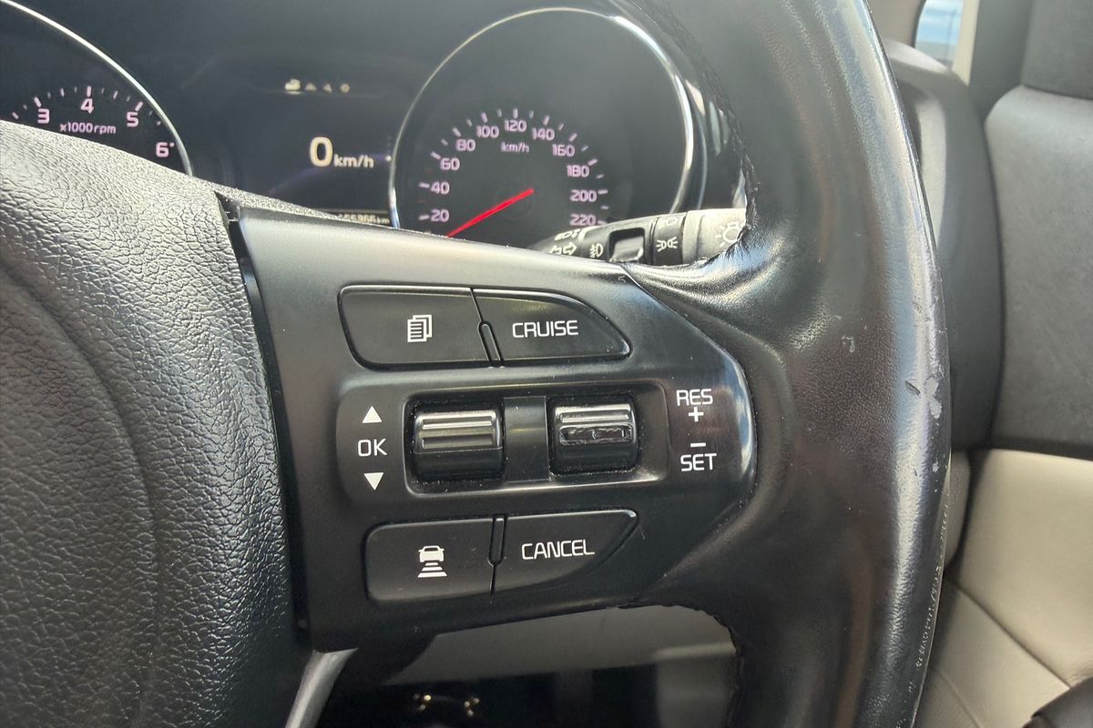 2017 Kia Carnival Platinum YP