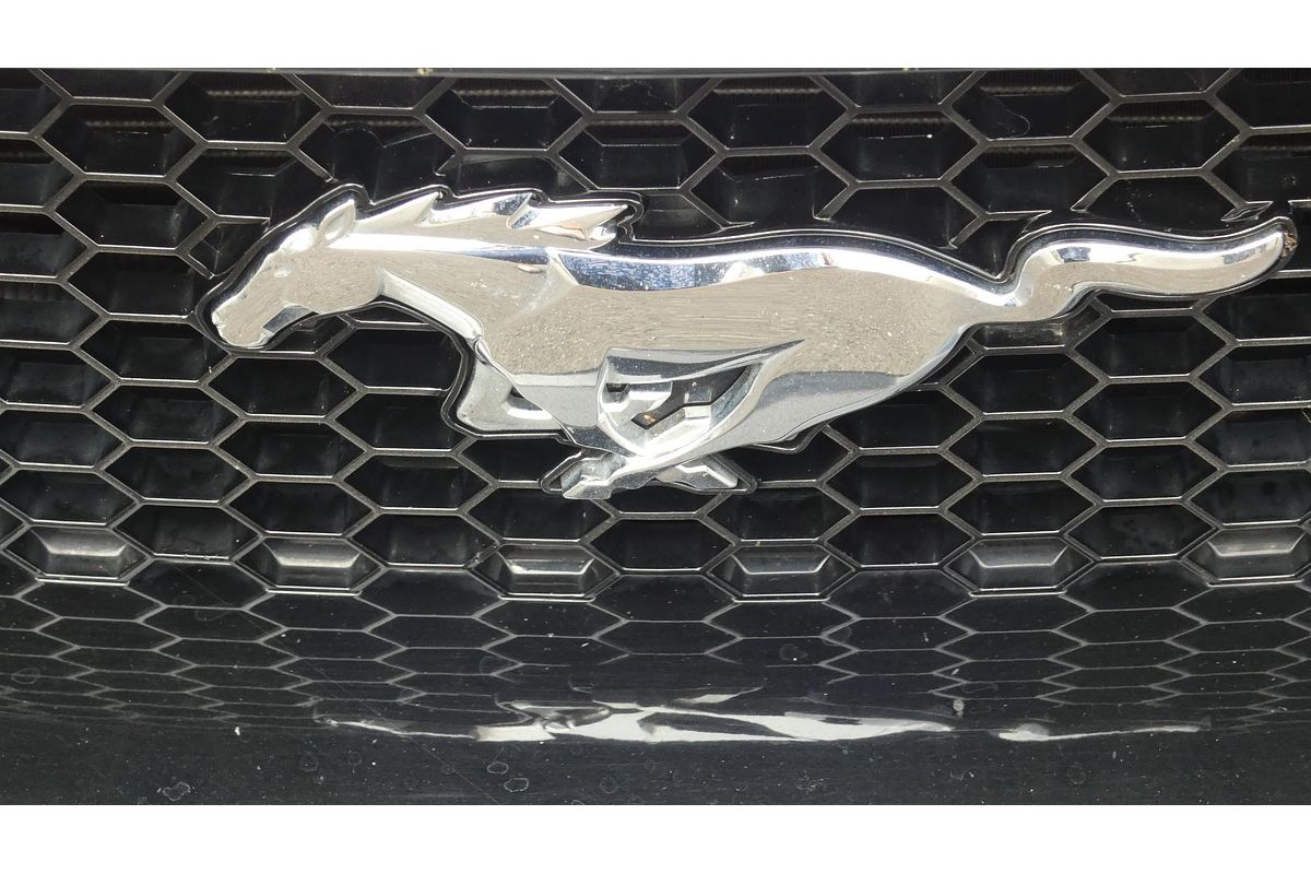 2021 Ford Mustang GT FN