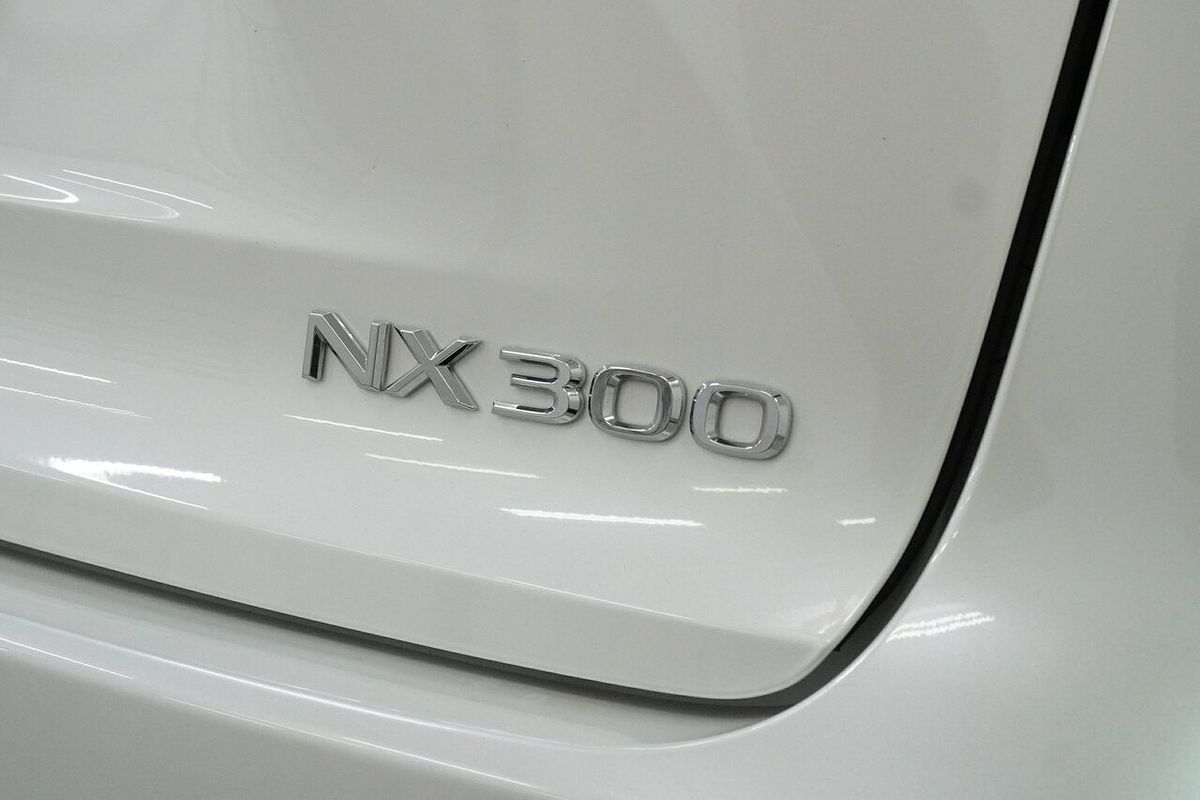 2019 Lexus NX NX300 Luxury AGZ10R