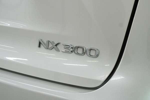 2019 Lexus NX NX300 Luxury AGZ10R