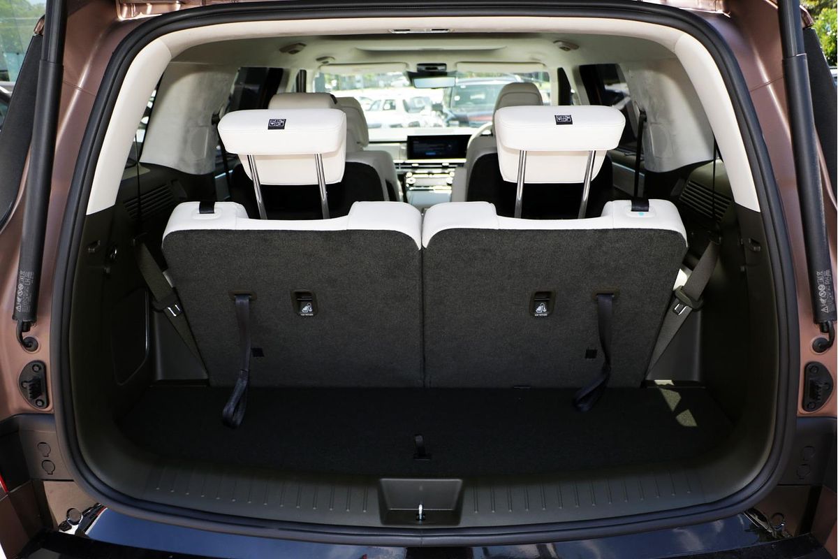 2025 Hyundai Santa Fe Hybrid Calligraphy MX5.V1