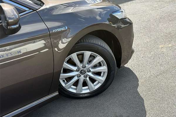 2019 Toyota Camry Ascent Sport AXVH71R