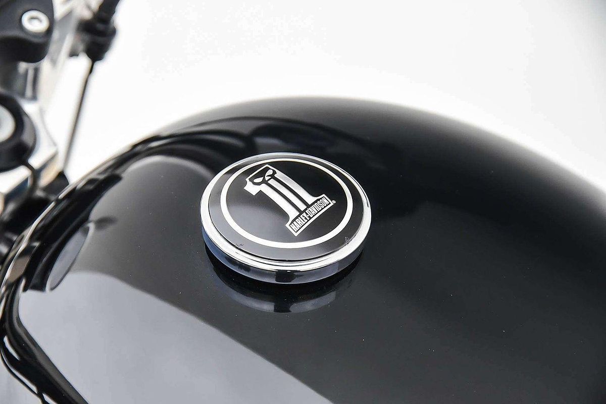 2010 Harley-Davidson Sportster 883 Low (XL883L) Sportster