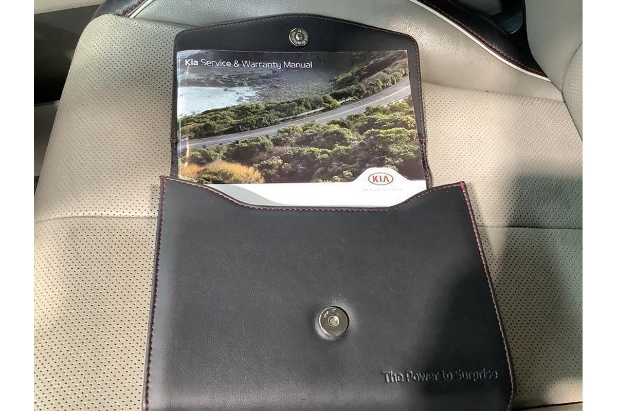 2018 Kia Carnival Platinum YP