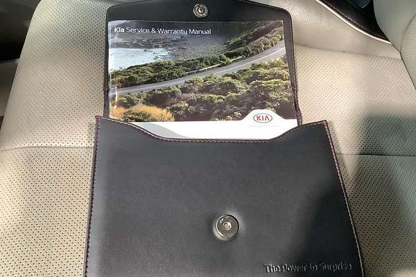 2018 Kia Carnival Platinum YP