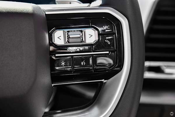 2025 LDV Terron 9 Origin EKK1C 4X4