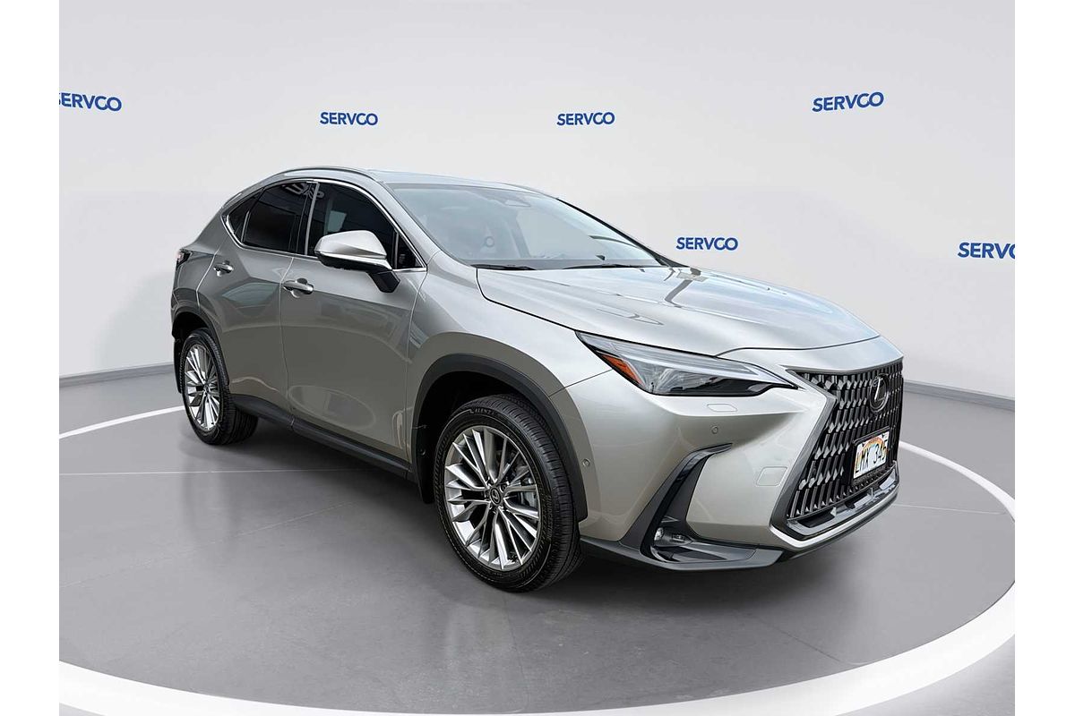 2024 Lexus NX Luxury