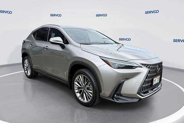 2024 Lexus NX Luxury