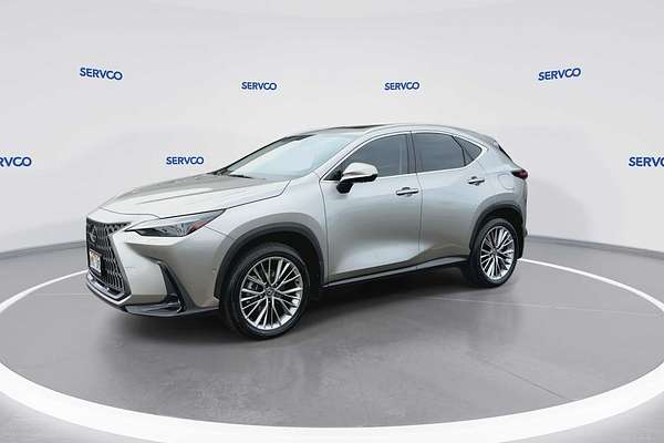 2024 Lexus NX Luxury