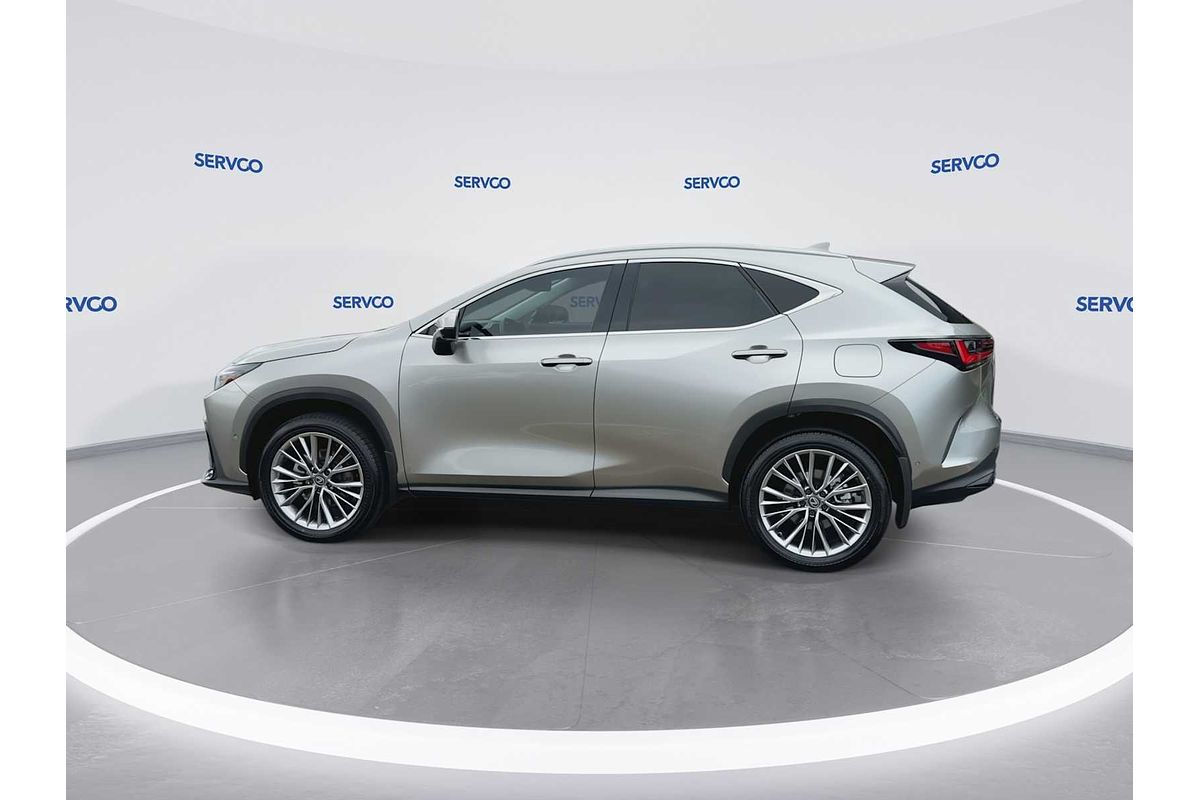 2024 Lexus NX Luxury