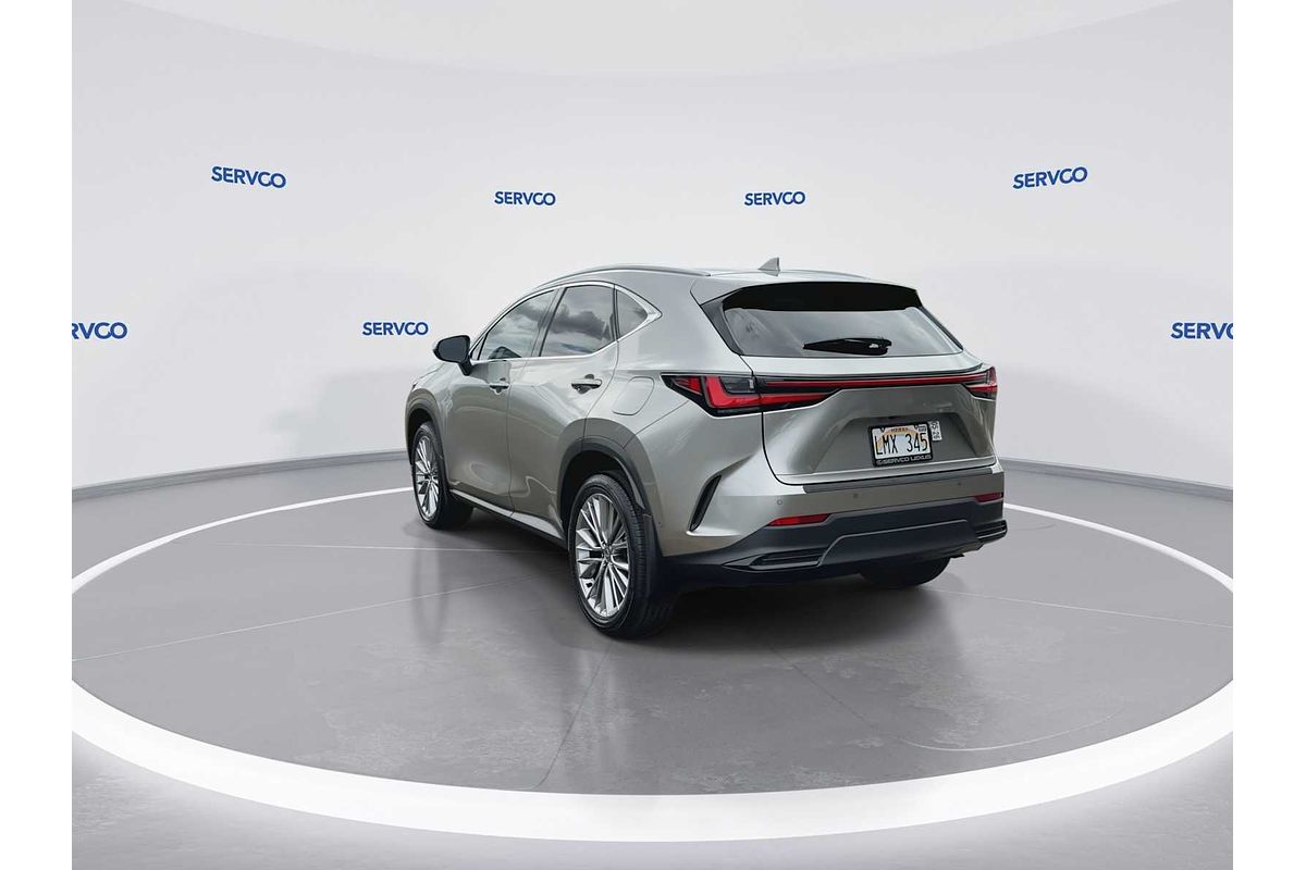 2024 Lexus NX Luxury