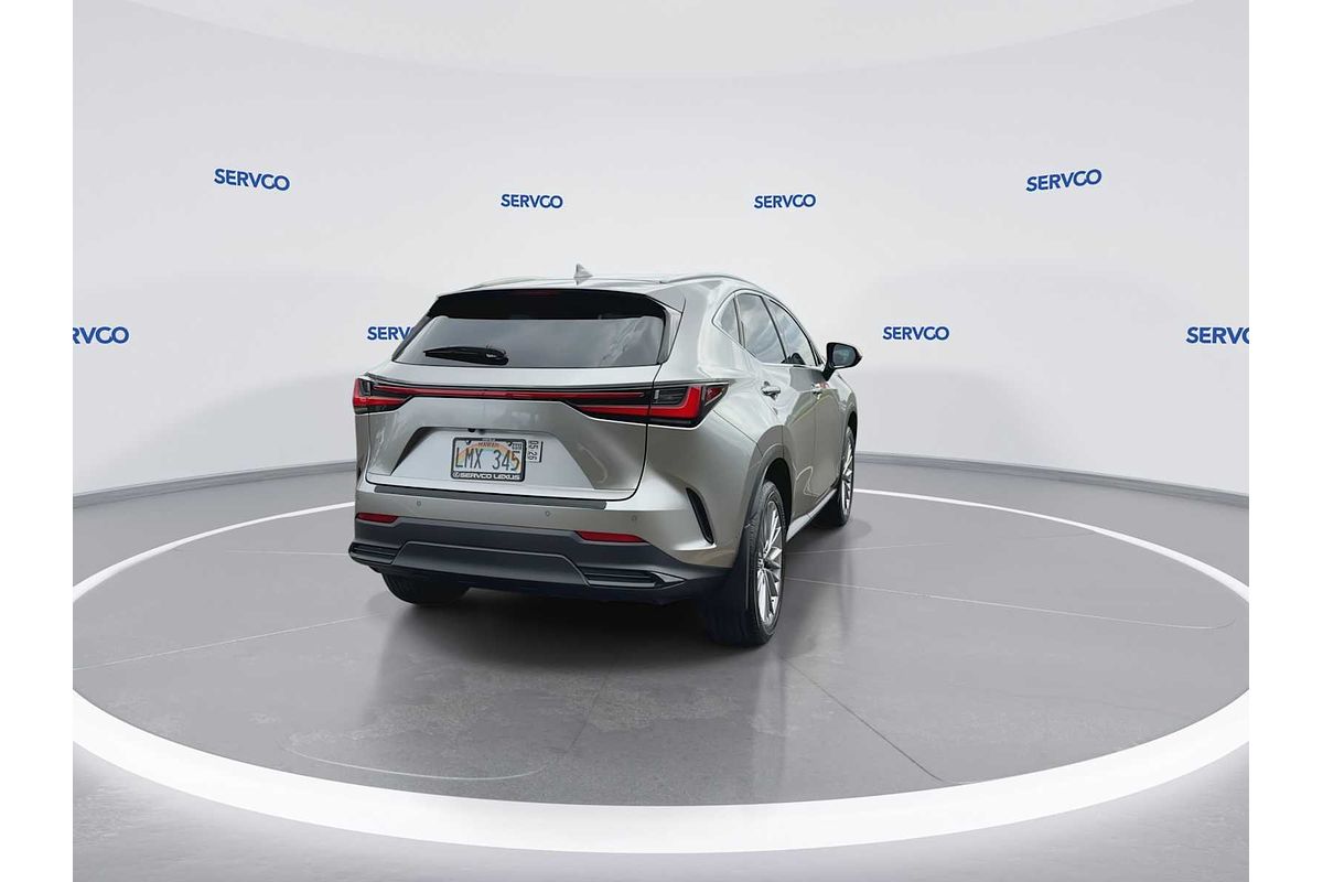 2024 Lexus NX Luxury