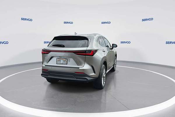2024 Lexus NX Luxury
