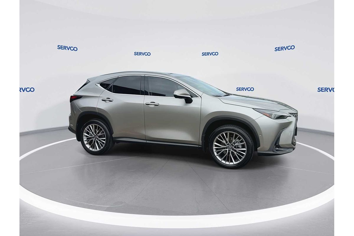 2024 Lexus NX Luxury
