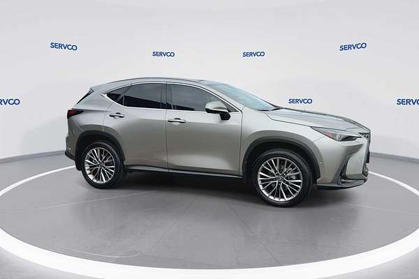 2024 Lexus NX Luxury