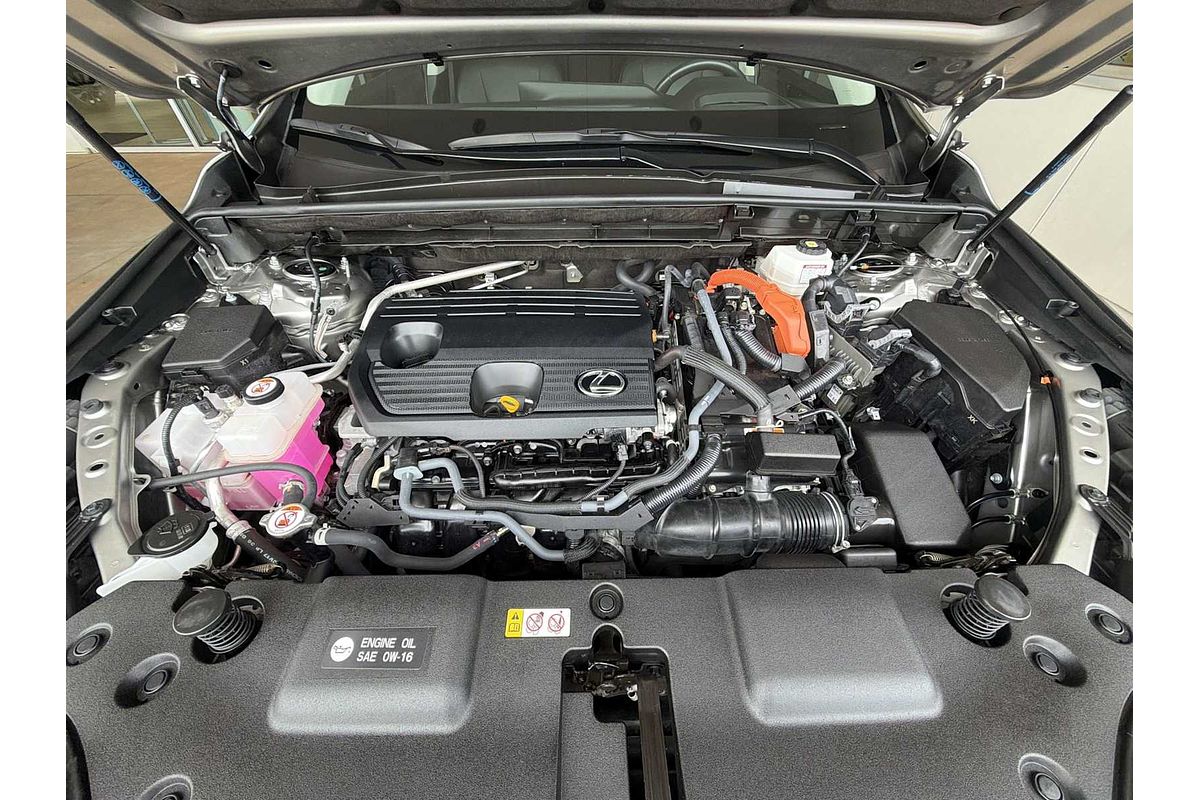 2024 Lexus NX Luxury