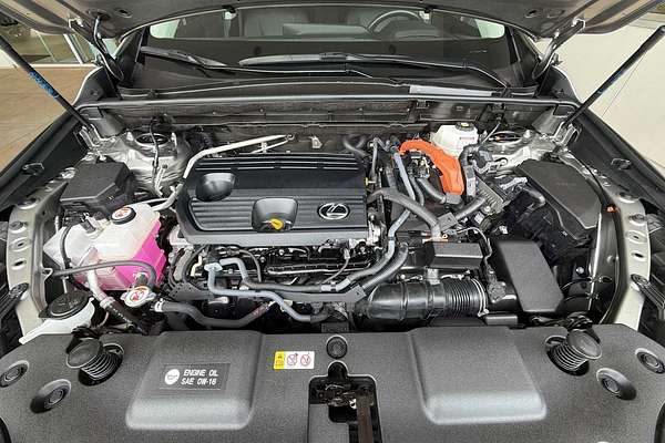 2024 Lexus NX Luxury