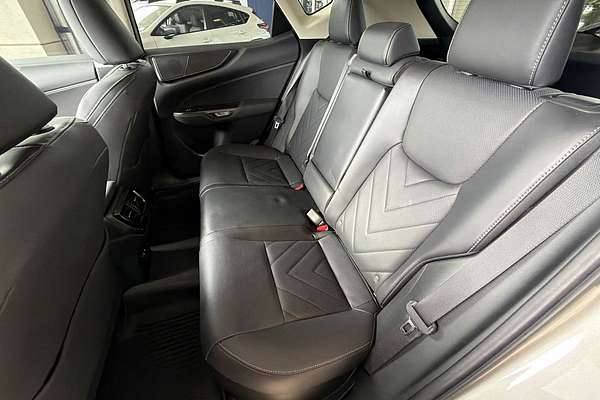 2024 Lexus NX Luxury