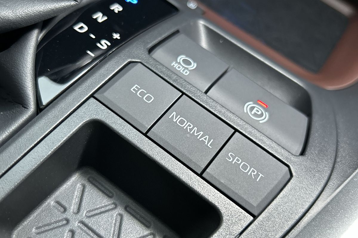 2024 Toyota RAV4 Cruiser AXAH52R