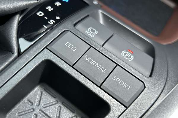 2024 Toyota RAV4 Cruiser AXAH52R