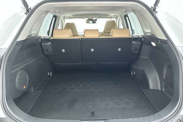 2024 Toyota RAV4 Cruiser AXAH52R