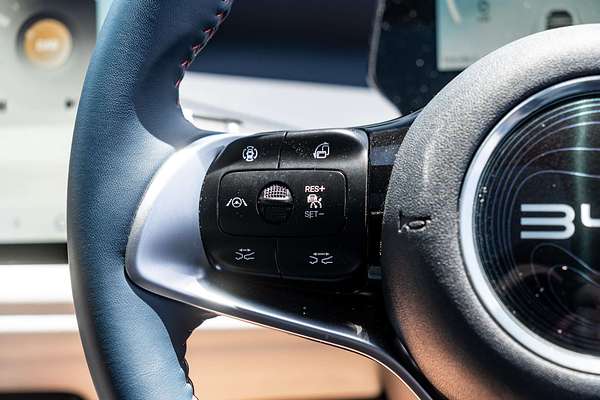 2025 BYD Byd Atto 3 Premium