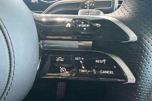 2024 Mercedes-Benz GLS-Class GLS450 d X167