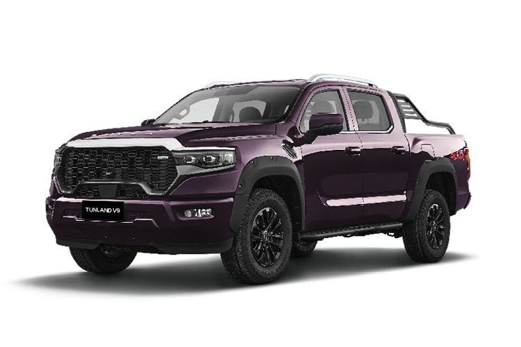 2025 Foton Tunland V9-S P4 4X4