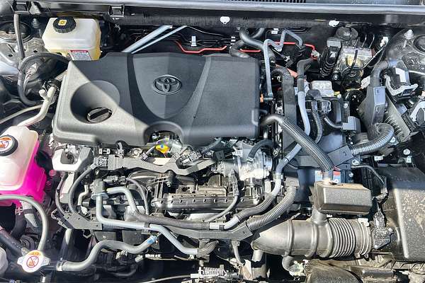 2024 Toyota RAV4 Cruiser AXAH52R