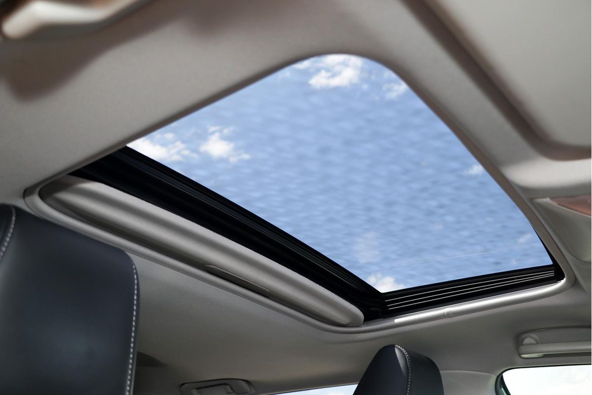 2019 Toyota RAV4 Cruiser MXAA52R