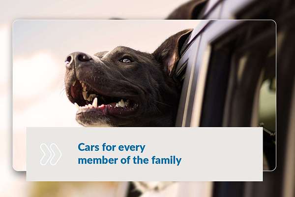 2022 Jeep Grand Cherokee Night Eagle WK