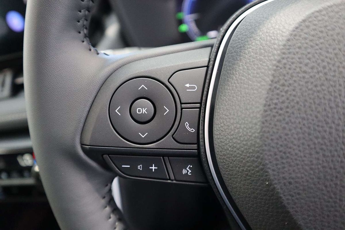 2024 Toyota RAV4 Cruiser AXAH52R