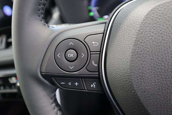 2024 Toyota RAV4 Cruiser AXAH52R