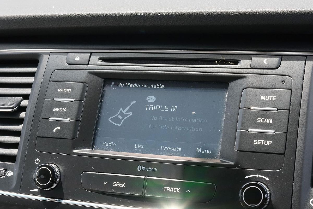 2017 Kia Carnival S YP