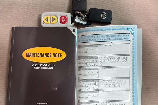 2011 Toyota Alphard Welcab