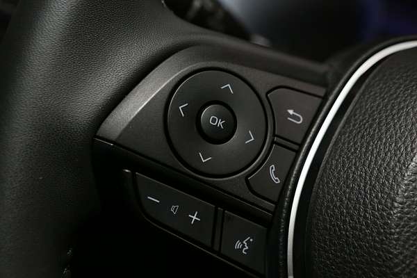 2024 Toyota RAV4 Cruiser AXAH52R