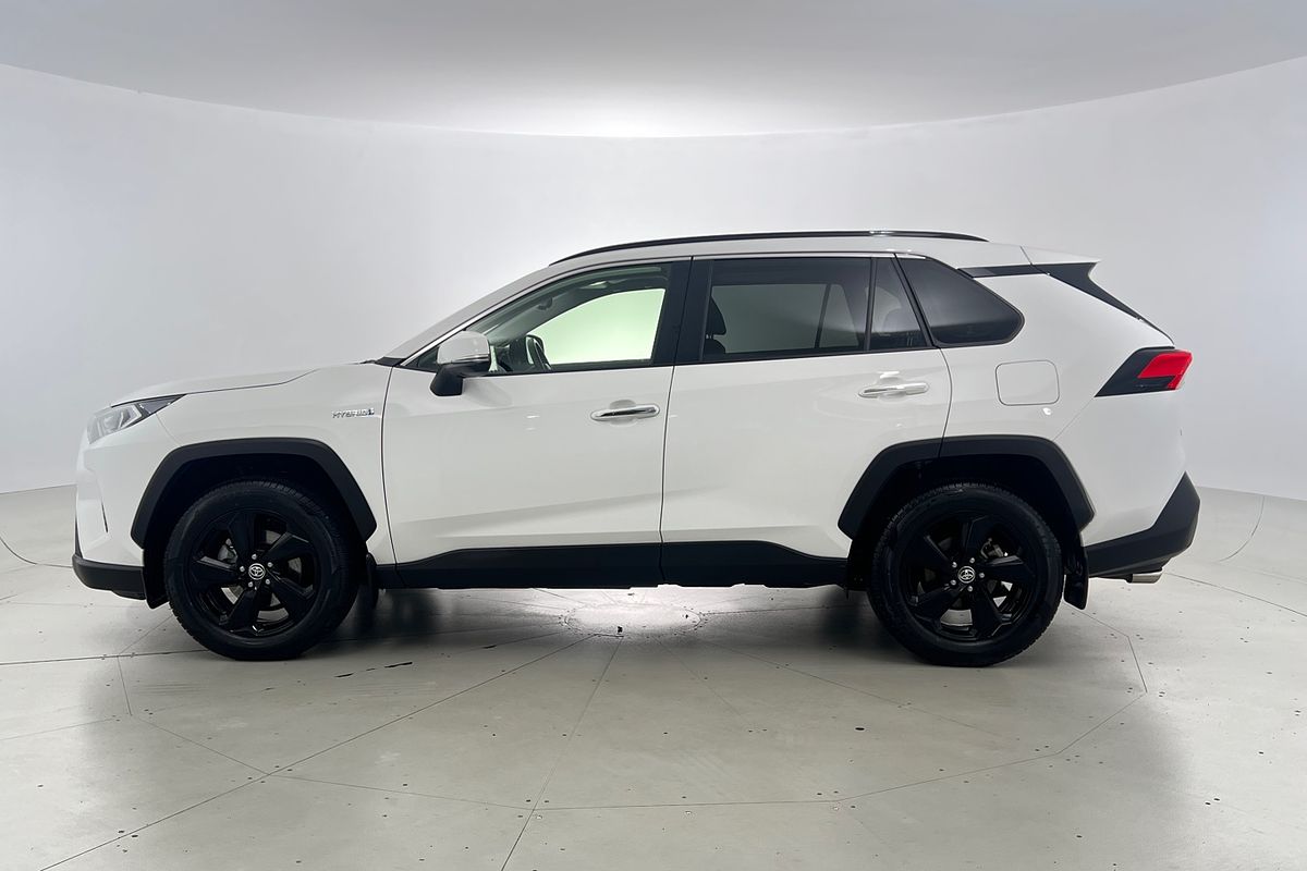 2019 Toyota RAV4 Cruiser AXAH52R