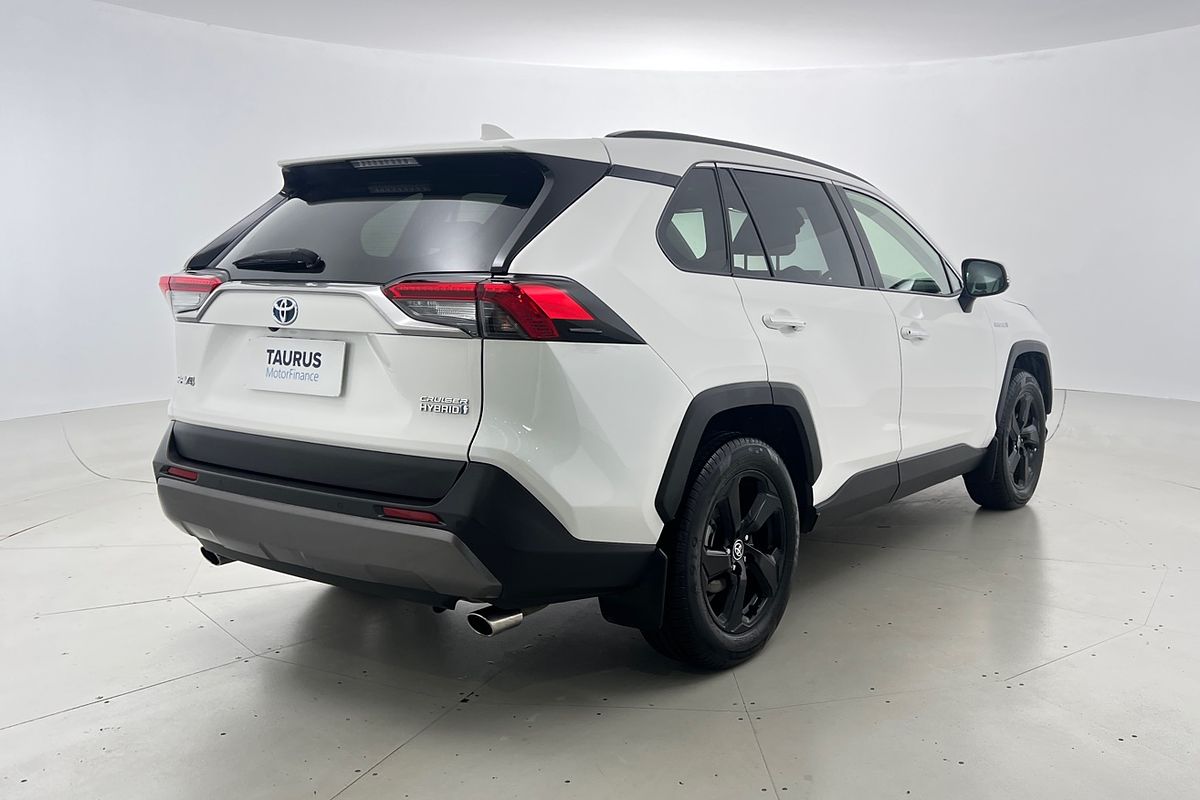 2019 Toyota RAV4 Cruiser AXAH52R