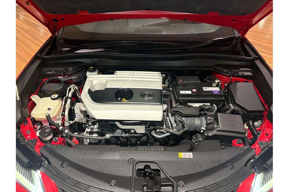 2019 Lexus UX UX200 Luxury MZAA10R