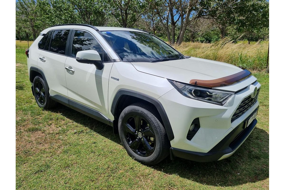 2020 Toyota RAV4 Cruiser AXAH54R