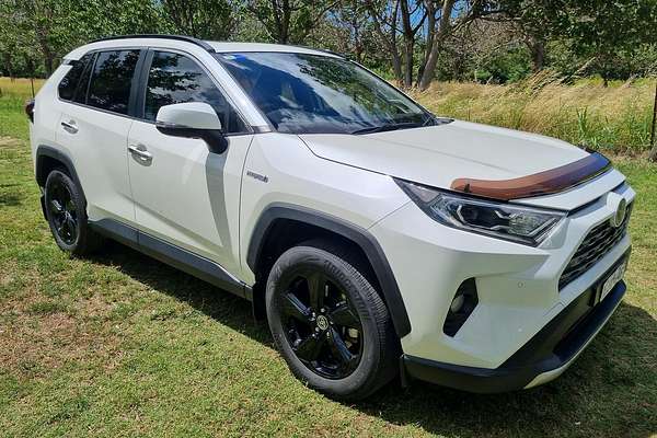 2020 Toyota RAV4 Cruiser AXAH54R
