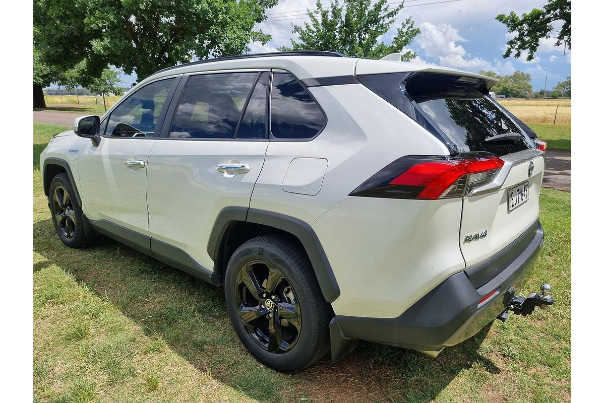 2020 Toyota RAV4 Cruiser AXAH54R