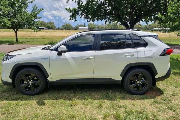 2020 Toyota RAV4 Cruiser AXAH54R