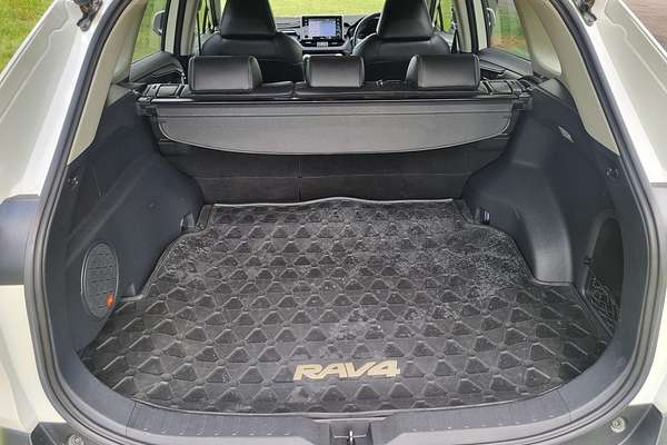 2020 Toyota RAV4 Cruiser AXAH54R