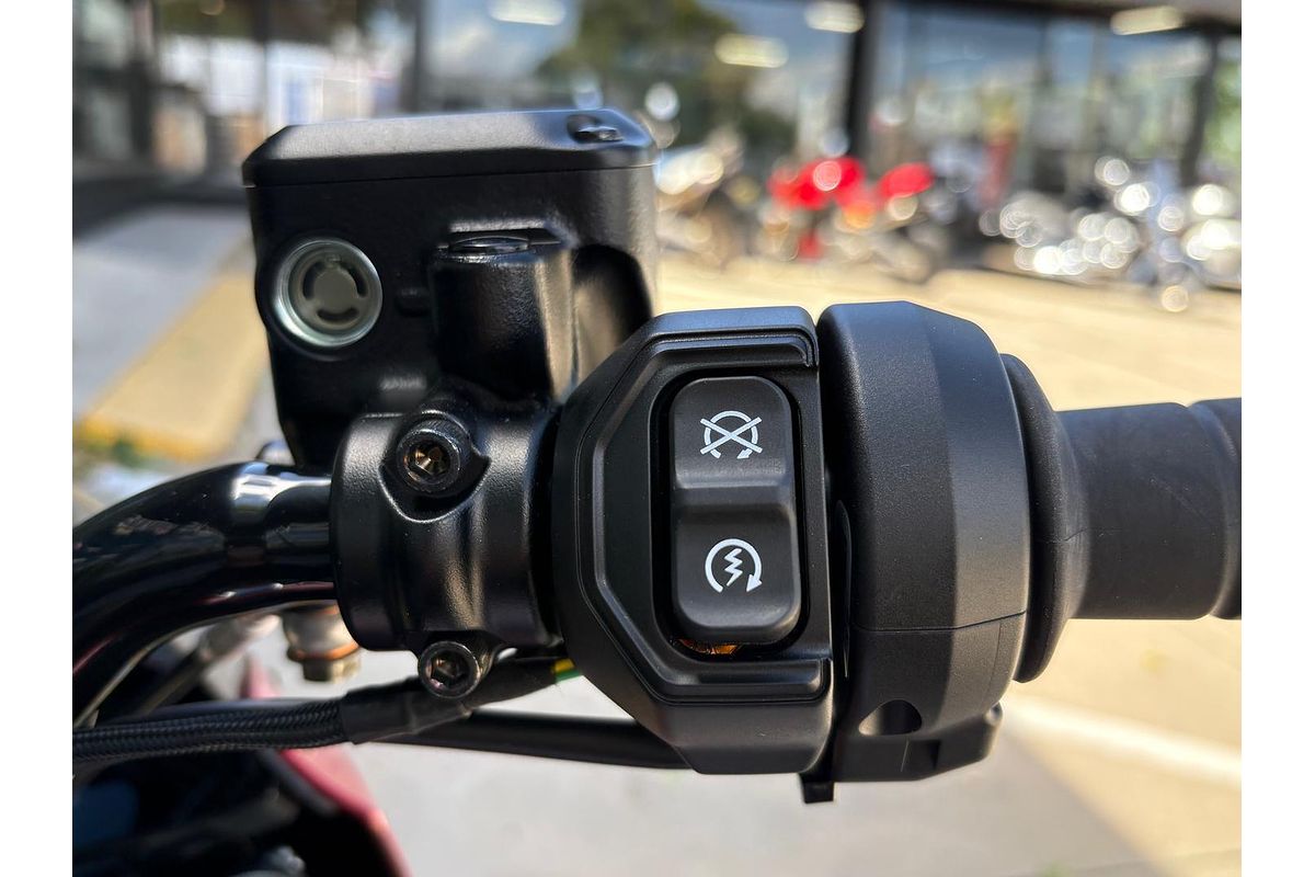 2025 Indian Scout 101 Scout