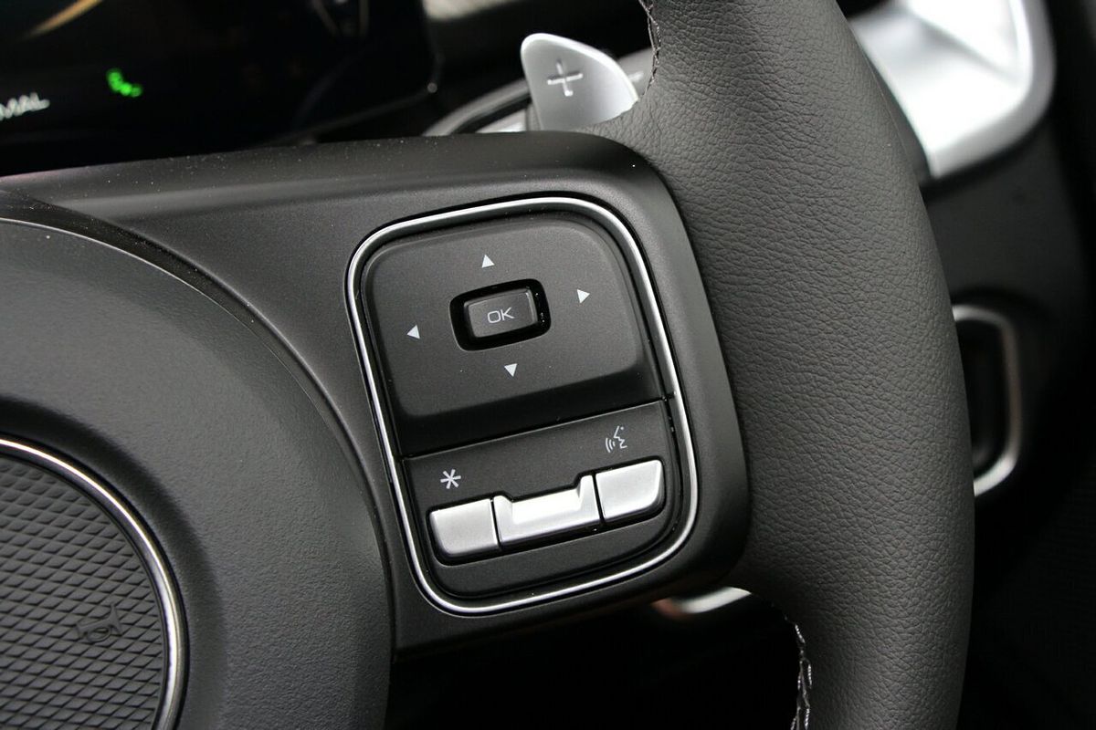 2025 GWM Cannon Premium NPW 4X4